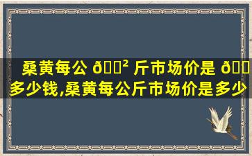 桑黄每公 🌲 斤市场价是 🍀 多少钱,桑黄每公斤市场价是多少钱一斤